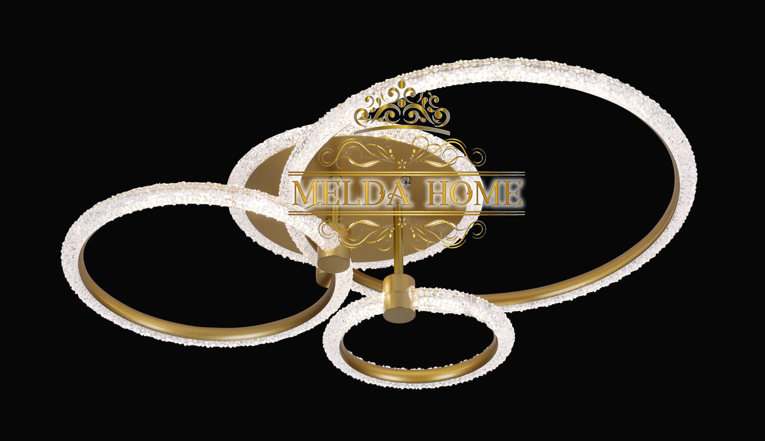 Orbixo Zwart|Goud|Wit