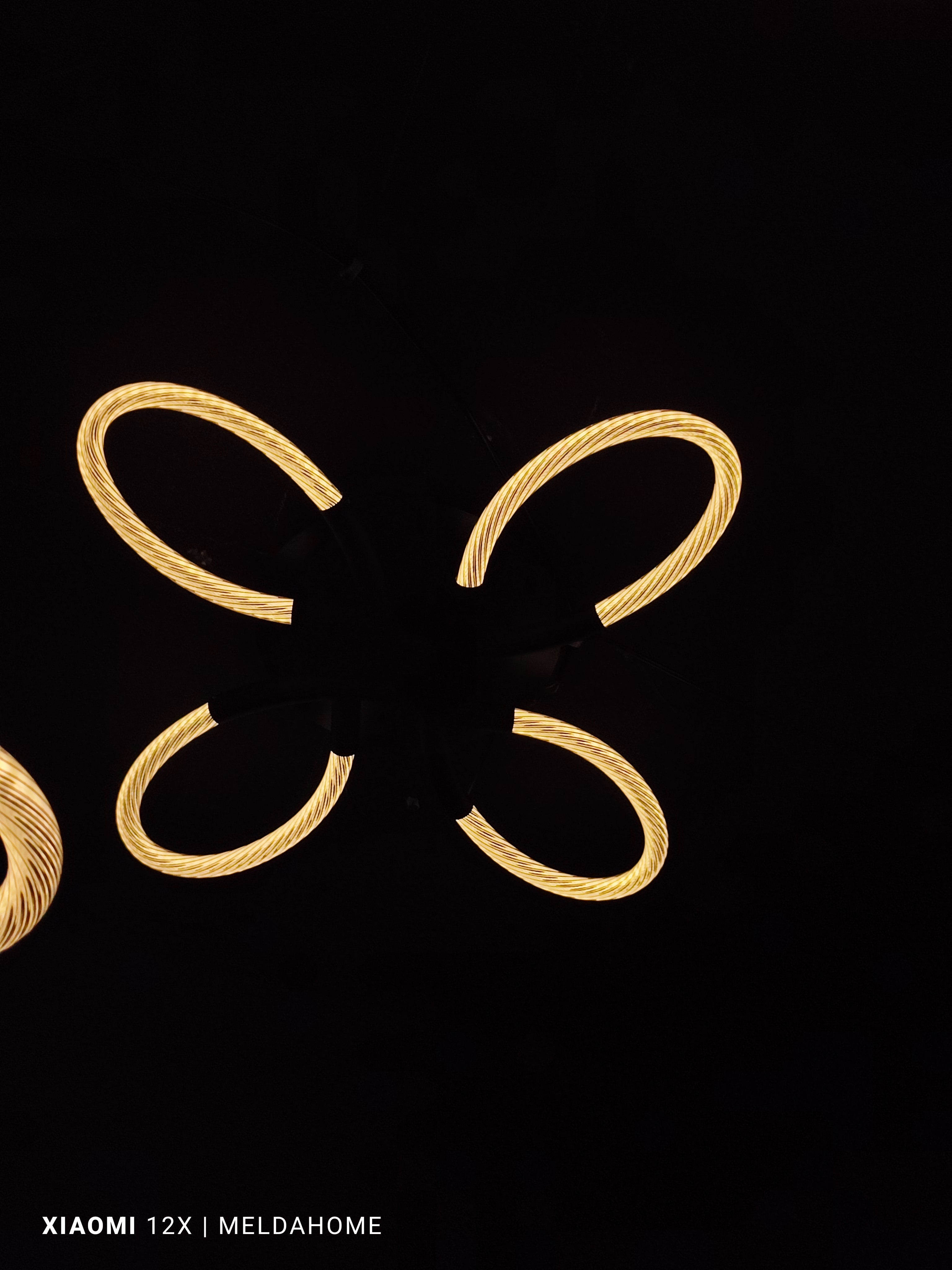 Sinfonia Di Cavi Zwart|Goud